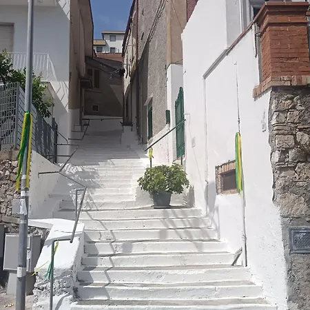 L'agapanto Viola Geata