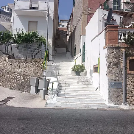L'agapanto Viola * Gaeta