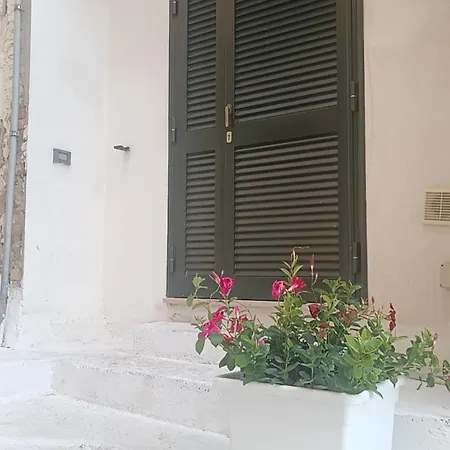 L'agapanto Viola Gaeta