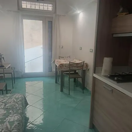L'agapanto Viola Gaeta