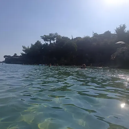 L'agapanto Viola